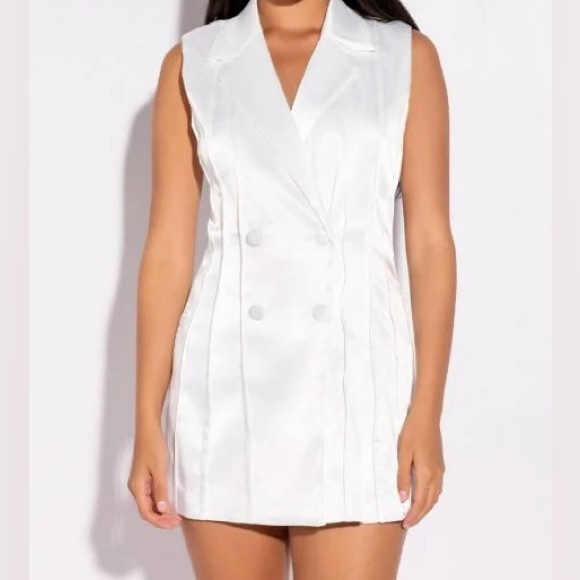 ✨ Satin Dress/Vest with Inside Out Lining ⛄️ - Picture 1 of 8